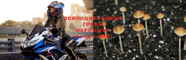 ешки Каменск-Шахтинский