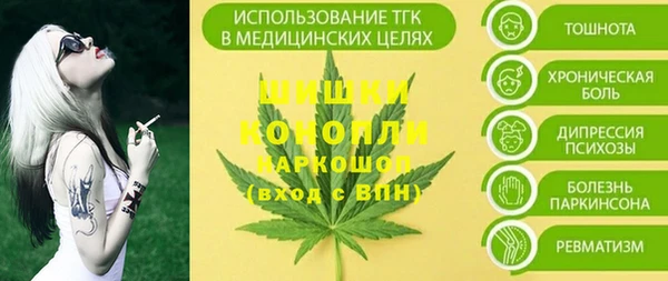 PSILOCYBIN Каменногорск