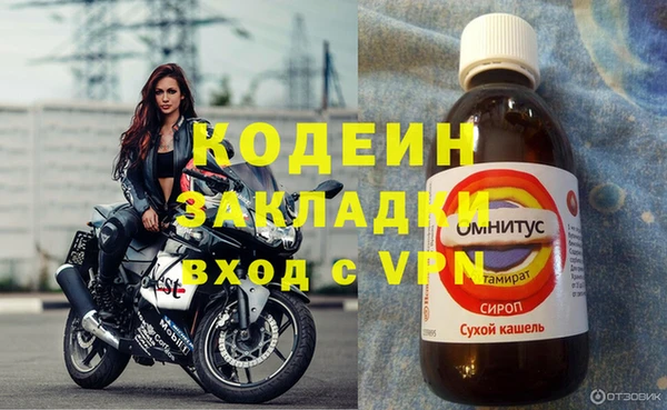 PSILOCYBIN Каменногорск