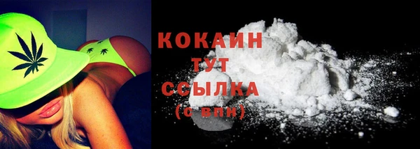 твердый Каменка