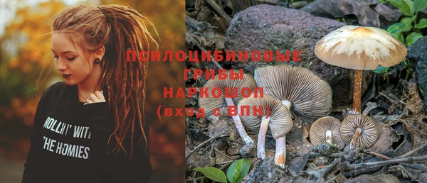 PSILOCYBIN Каменногорск