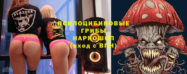 PSILOCYBIN Каменногорск