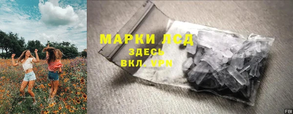 PSILOCYBIN Каменногорск