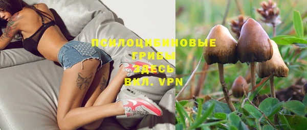 твердый Каменка