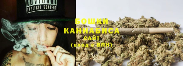 PSILOCYBIN Каменногорск